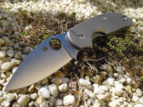 5891 Spyderco Sage 2 - C123TIP фото 22