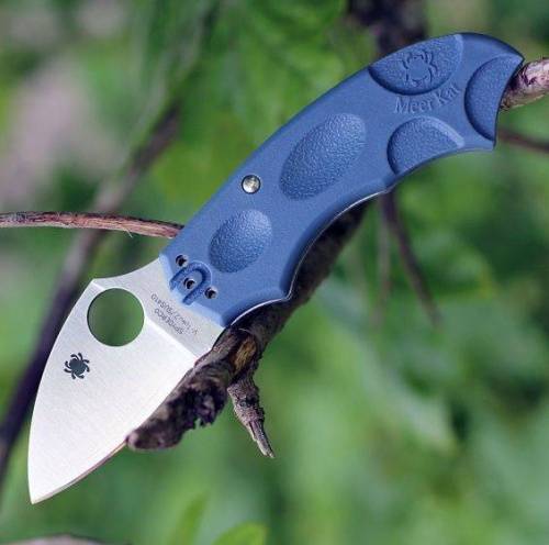 5891 Spyderco Meerkat BLUE C64PBLE