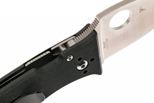 Складной нож Spyderco Lil' Temperance 3 - 69GP3 фото 16