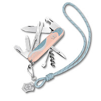 Нож перочинный Victorinox Companion Paris Style 91мм 16 функций в подарочной коробке розовый